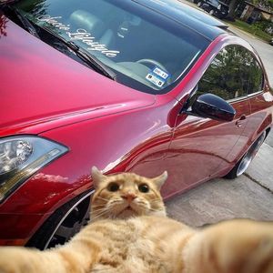 Meet your Posher, Mack